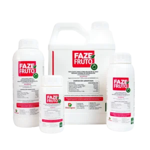 FAZE FRUTO
