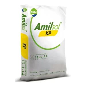 Amilsol KP