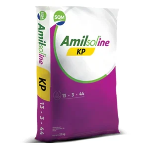 Amilsoline KP